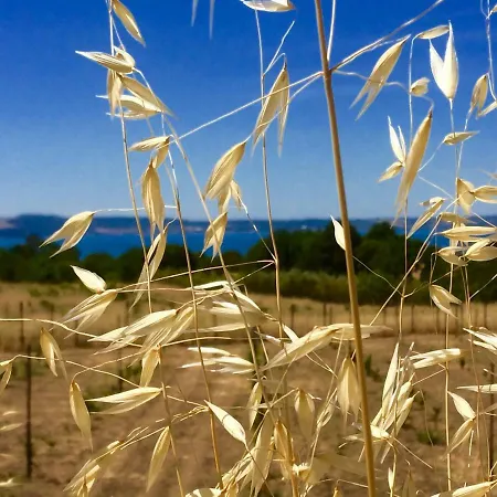 Le Querce Trevignano Romano